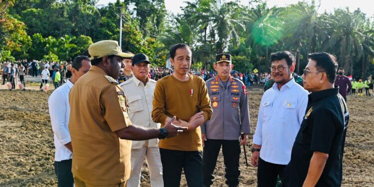 Jokowi Bagun Food Estate untuk Penanaman Jagung Seluas 10.000 Ha di Papua