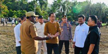 Jokowi Bagun Food Estate untuk Penanaman Jagung Seluas 10.000 Ha di Papua