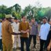 Jokowi Bagun Food Estate untuk Penanaman Jagung Seluas 10.000 Ha di Papua