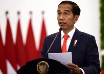 Presiden Jokowi Ajak Republik Ceko Investasi Bangun IKN Nusantara