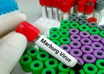 RI Waspada, Fatalitas Tinggi Akibat Virus Marburg