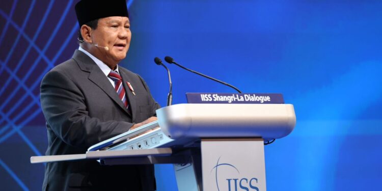 Prabowo Subianto Desak Ukraina dan Rusia Hentikan Permusuhan