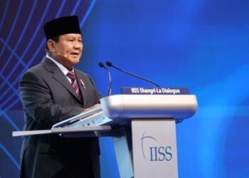 Prabowo Subianto Desak Ukraina dan Rusia Hentikan Permusuhan