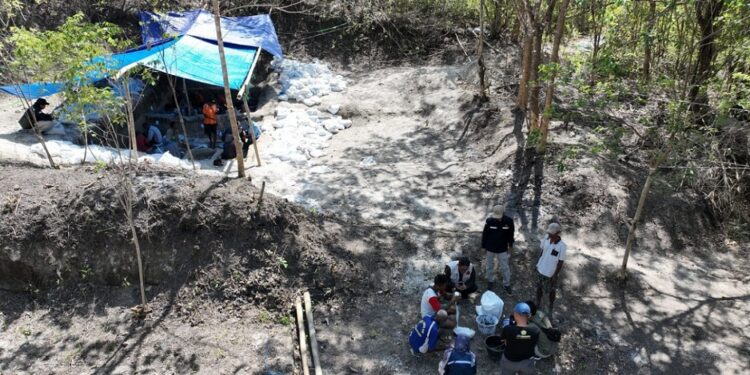 Badan Geologi Temukan Fosil Gajah Purba di Situs Mala Huma NTT