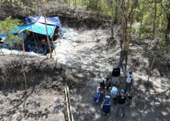 Badan Geologi Temukan Fosil Gajah Purba di Situs Mala Huma NTT