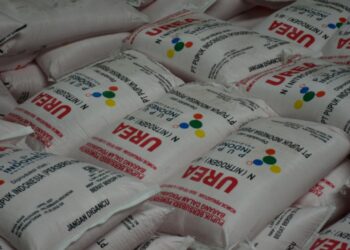 Polisi Gagalkan Pengiriman 25 Ton Pupuk Subsidi di Pandeglang, Ringkus 4 Tersangka