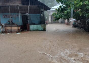BPBD: Jalan Nasional Painan-Kota Padang Lumpuh Akibat Longsor