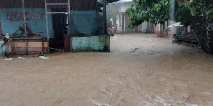 BPBD: Jalan Nasional Painan-Kota Padang Lumpuh Akibat Longsor