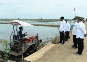 Komisi IV DPR Kritik Proyek Food Estate Sudah Salah Sejak Awal