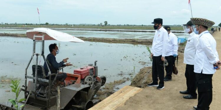 Komisi IV DPR Kritik Proyek Food Estate Sudah Salah Sejak Awal