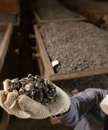 DPR Desak Pemerintah Evaluasi Program Hilirisasi Nikel