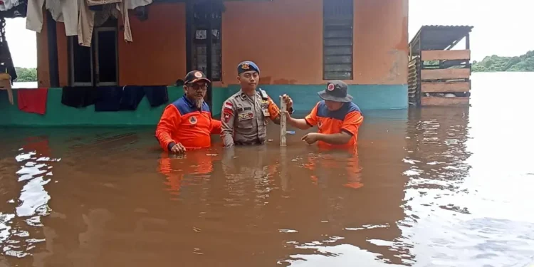 Banjir di Kabupaten Sintang, Sebanyak 95 Jiwa Mengungsi