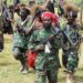 Soal Teror KKB Papua, Parlemen: Perlu Ada Tindakan Tegas dan Terukur