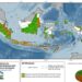BMKG Prediksi Puncak Musim Kemarau Terjadi pada Juli