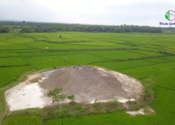 Fenomena Bledug Kramesan di Grobogan, Ini Penjelasan Badan Geolog