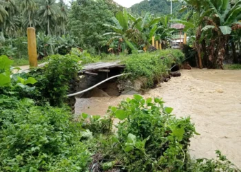 Banjir di Parigi Moutong Sulteng, Sebanyak 40 KK Mengungsi