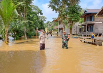 Lebih dari 5.700 Rumah Warga Terdampak Banjir Kalimantan Tengah