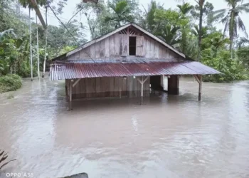Banjir dan Tanah Longsor Melanda di Kabupaten Nias Barat, 4.000 Jiwa Terdampak
