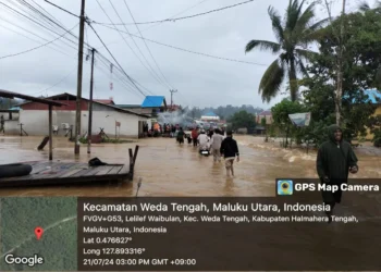Satu Desa di Halmahera Tengah Terendam Banjir Akibat Kali Kobe Meluap