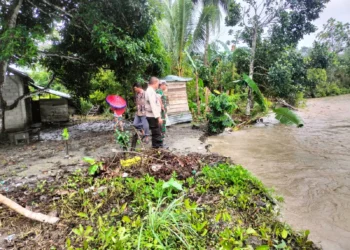 Banjir Melanda Kabupaten Seram Bagian Barat, Lima Kecamatan Terdampak
