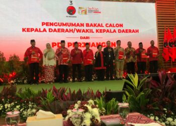 PDI Perjuangan Umumkan 169 Bakal Calon Kepala Daerah di Pilkada 2024