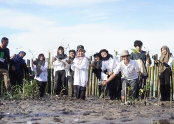 Pertamina Berikan Beasiswa untuk 520 Mahasiswa dari Sumatra hingga Papua