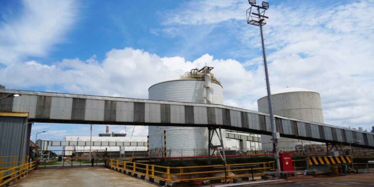 Pemerintah Dorong Industri Pupuk Ciptakan Energi Hijau yang Kuat di Indonesia