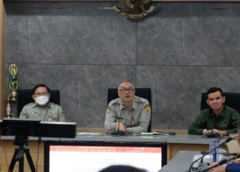 Kementan Stabilitasi Harga Ayam Hidup Untuk Lindungi Peternak dan Konsumen