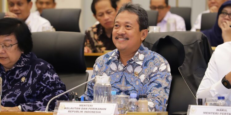 DPR Sepakati Anggaran KKP Rp6,2 Triliun di 2025