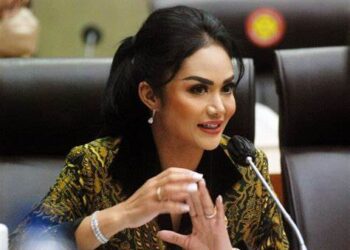 Cegah Angka Kematian Bayi, Kris Dayanti Dorong Optimalkan UU KIA