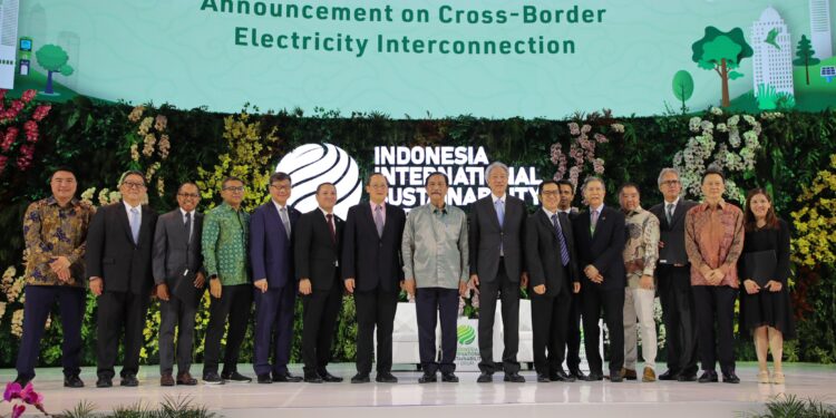 Menko Luhut : Kerja Sama Indonesia-Singapura di Bidang Energi Terjalin Sangat Baik