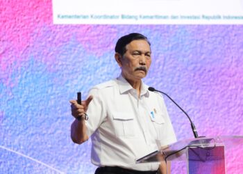 Pemerintah Mendukung Digitalisasi Ekonomi Melalui Downstream Policy