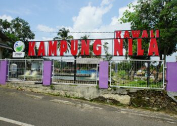 Mengenal SFV Kawali Sebagai Produsen Nila Inovatif di Jawa Barat