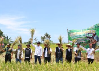 Serap Panen di Banyuwangi, Bentuk Konsistensi Program Mitra Tani Perum BULOG