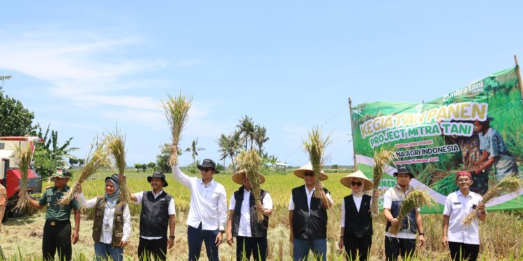 Serap Panen di Banyuwangi, Bentuk Konsistensi Program Mitra Tani Perum BULOG