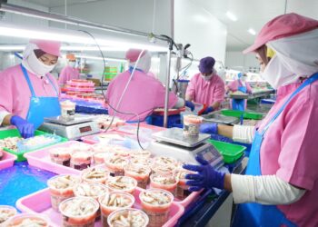 KKP Catat Surplus Ekspor Perikanan Melonjak Periode Januari – September 2024