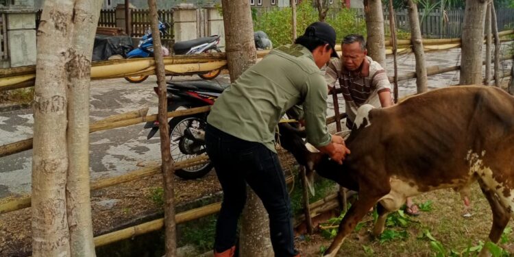 Wabah SE di Bengkulu, Kementan Tingkatkan Upaya Pengendalian dan Pencegahan