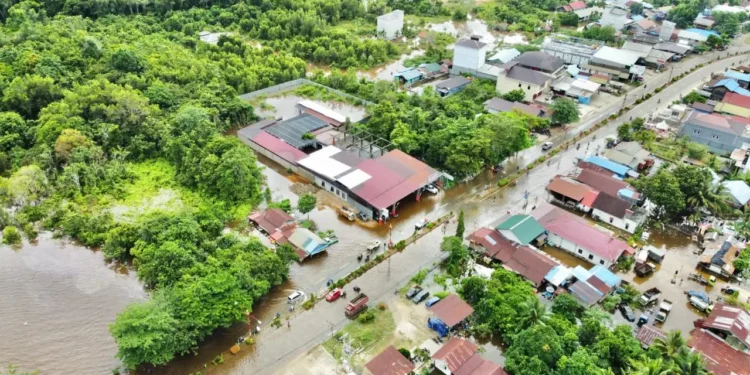 Sungai Barito Meluap, BNPB: Enam Kecamatan di Kabupaten Murung Raya Terendam Banjir