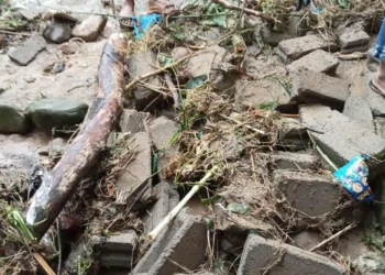 Banjir Sijunjung Sumbar, BNPB Pastikan Tak Ada Korban Jiwa
