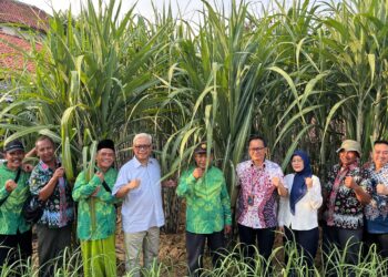 Berikan Bantuan Alsintan, Bulog Dukung Produktivitas Petani Tebu Blora
