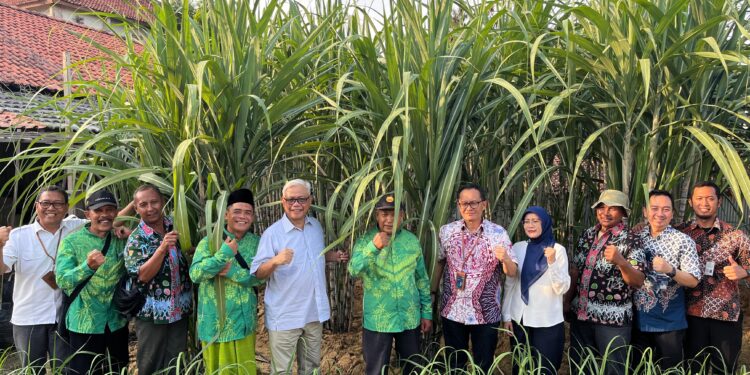 Berikan Bantuan Alsintan, Bulog Dukung Produktivitas Petani Tebu Blora