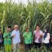 Berikan Bantuan Alsintan, Bulog Dukung Produktivitas Petani Tebu Blora