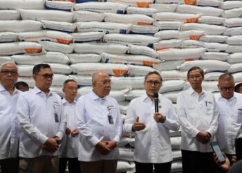 Pemerintah Pastikan Stok Beras Aman dan Ingin Wujudkan Swasembada Pangan