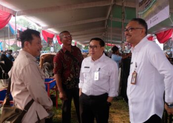 Mentan Upayakan Harga Sapi Hidup minimal Rp50 Ribu per Kilogram
