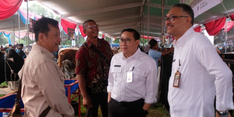 Mentan Upayakan Harga Sapi Hidup minimal Rp50 Ribu per Kilogram