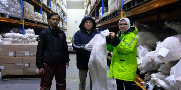 Daging Domba Impor Rugikan Peternak, Kementan Sidak 13 Gudang Importir Daging