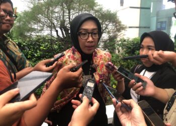 Baruan Energi Baru Terbarukan hingga Akhir 2024 Diperkirakan Capai 14,1%