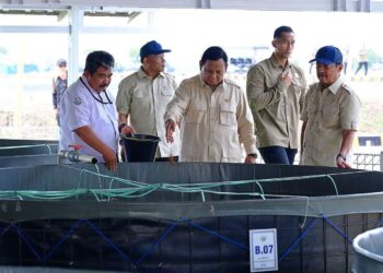 KKP Siapkan Panen Siklus Kedua BINS Dukung Makan Bergizi Gratis