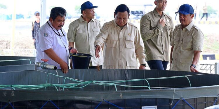 KKP Siapkan Panen Siklus Kedua BINS Dukung Makan Bergizi Gratis
