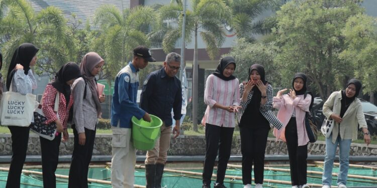 KKP Kembangkan Ikan Nila Srikandi Andalkan Teknik Budidaya Inovatif